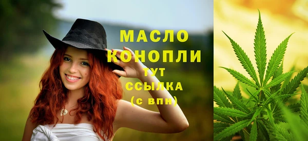 mdpv Елабуга