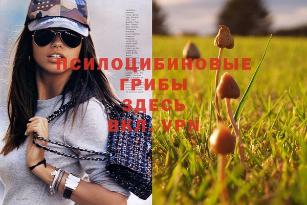кокаин Ельня