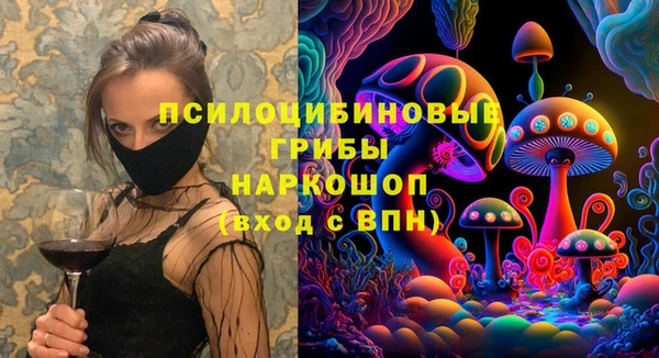a pvp Дмитров